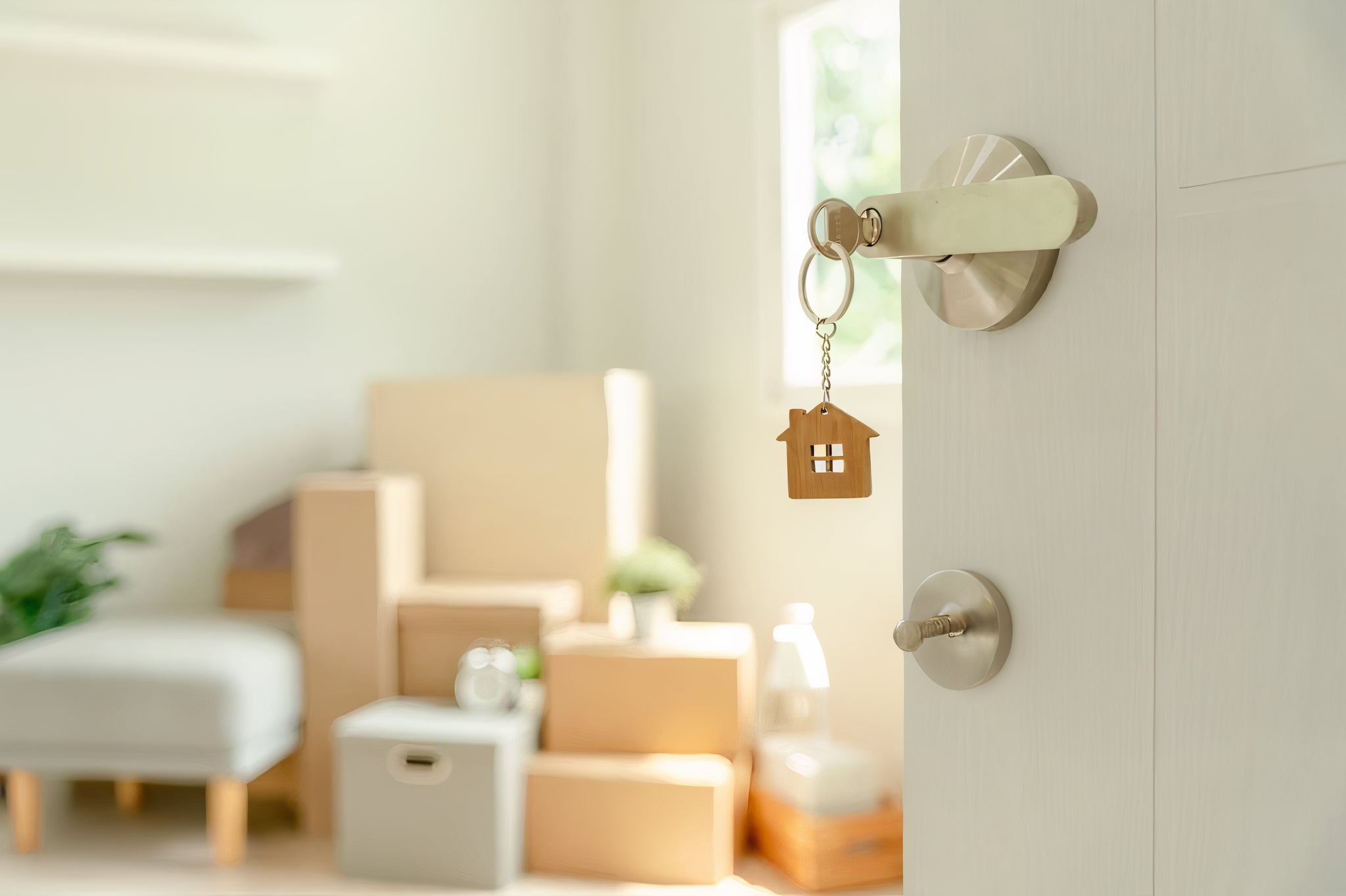 新屋裝修去味 除甲醛DIY長效攻略 (包括:最新2026除甲醛方法比較及產品測試報告) - Qivation