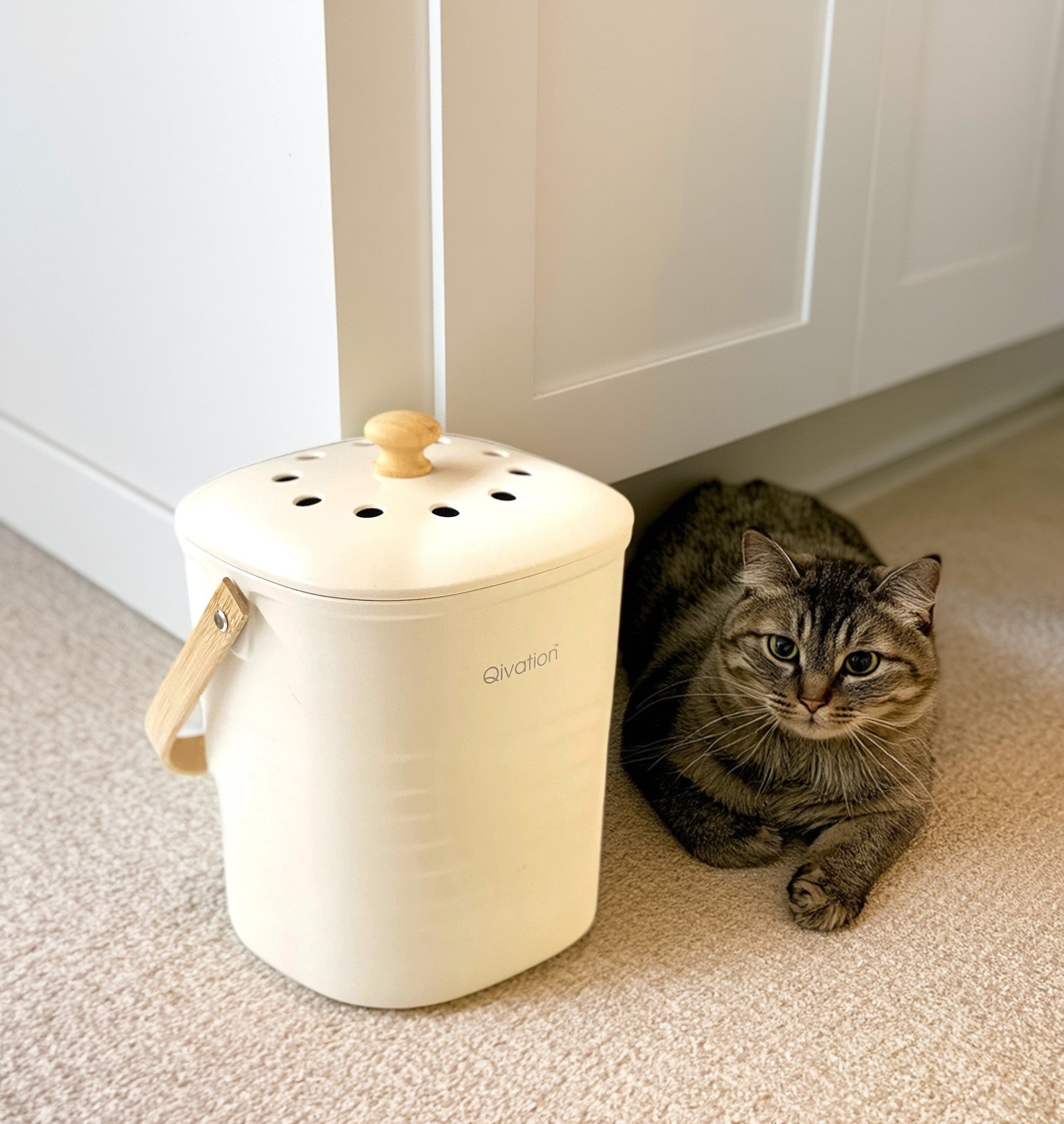 Qivation 光觸媒廚餘桶 - Qivation